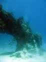 IMG_0700
