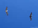 IMG_1040