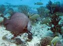 IMG_1146