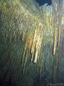 IMG_1317