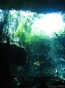 IMG_1436