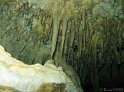 IMG_1467