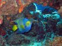 IMG_1598