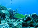 IMG_1599