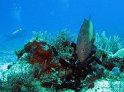 IMG_1657_