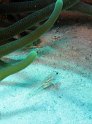 IMG_1676