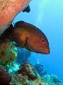 IMG_1683_
