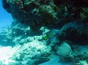 IMG_1709
