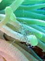 IMG_1729