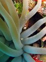 IMG_1742