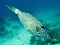 IMG_1769