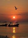 IMG_1842