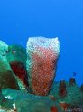 IMG_1900