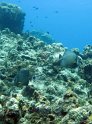 IMG_1930
