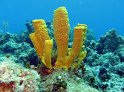 IMG_1940