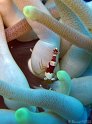 IMG_1990