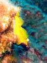 IMG_4535