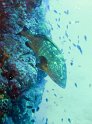 IMG_6691