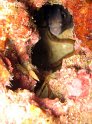 IMG_1464