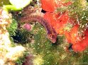 IMG_1474