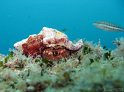 IMG_1529