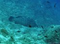 IMG_5609