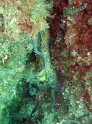 IMG_5611