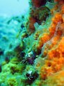 IMG_6431