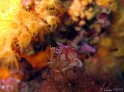 IMG_8882