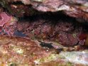 IMG_0964