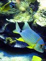 IMG_7340