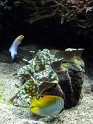 IMG_7352