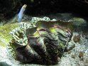 IMG_7358