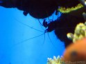 IMG_7427