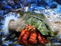 IMG_7621