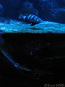 IMG_7639