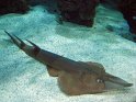 IMG_7677