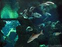IMG_7694