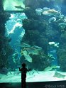 IMG_7701