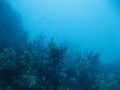 IMG_1682_