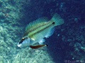 IMG_1735
