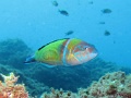 IMG_2487