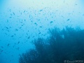 IMG_3490