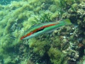IMG_7338