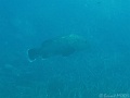 IMG_7592