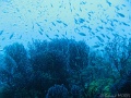 IMG_0114