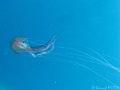 IMG_0131