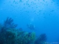 IMG_0141