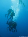 IMG_0170