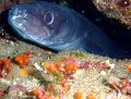 040519-040523 - La-Ciotat